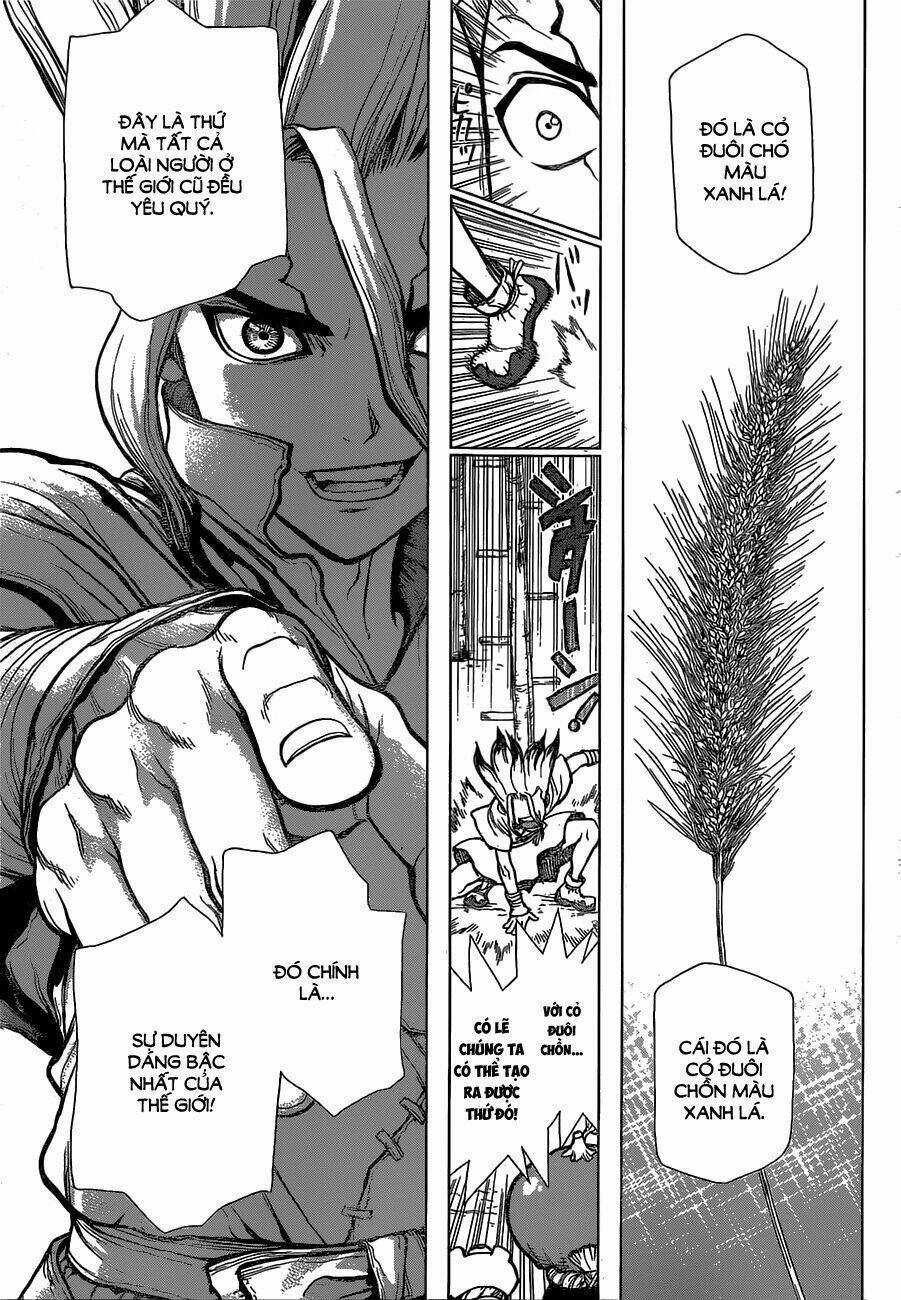 Dr.stone - Hồi Sinh Thế Giới Chapter 22 trang 8