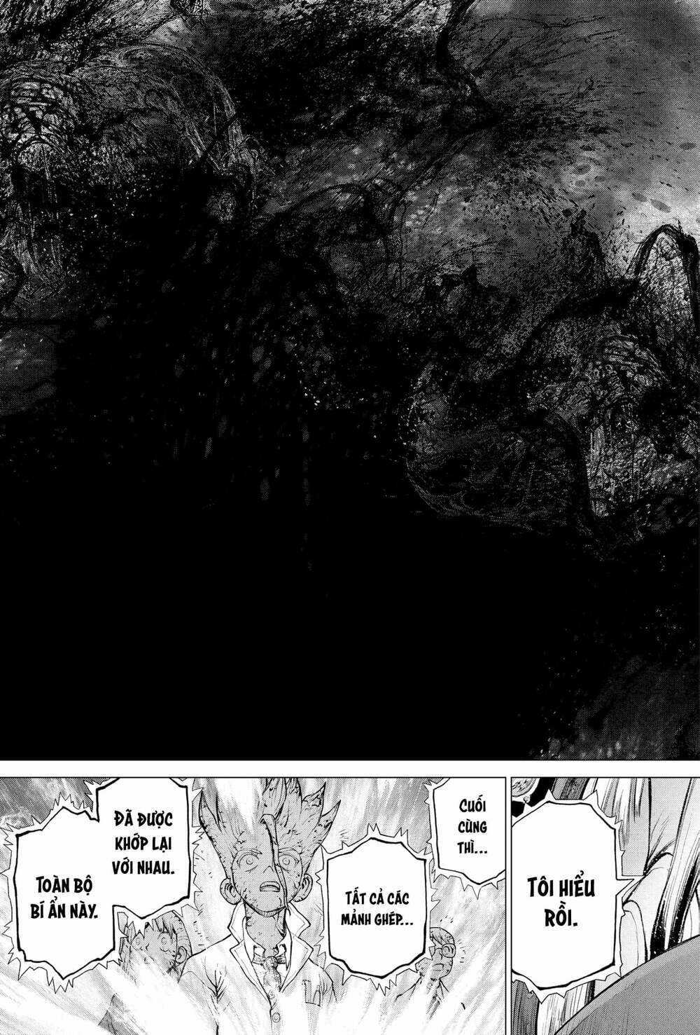 Dr.stone - Hồi Sinh Thế Giới Chapter 227 trang 21