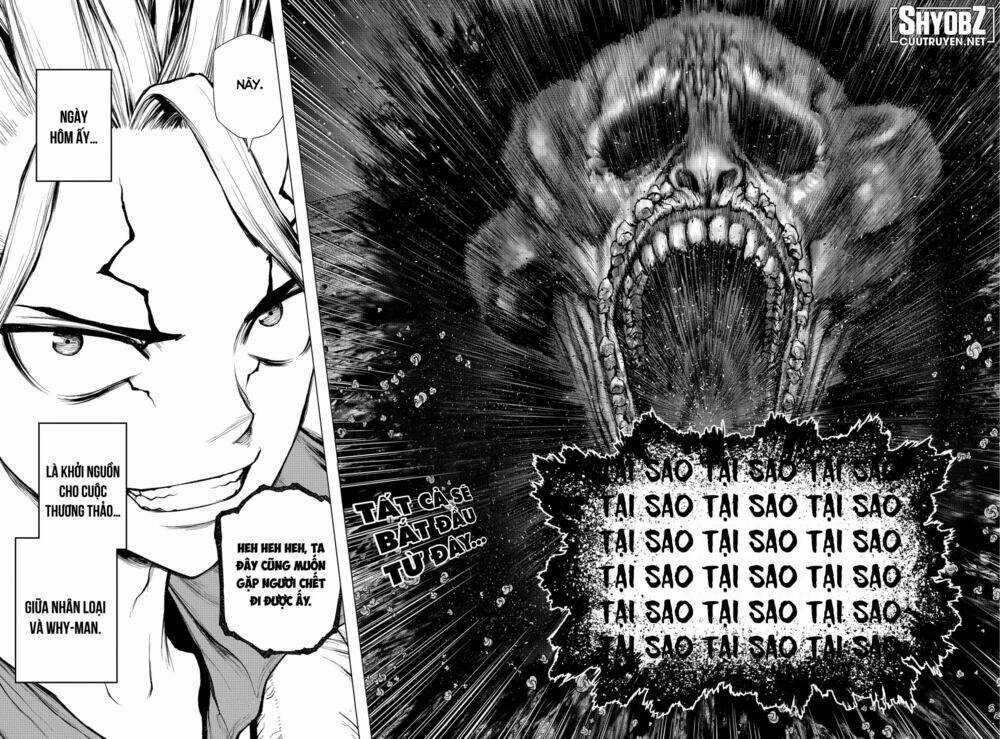 Dr.stone - Hồi Sinh Thế Giới Chapter 229 trang 19