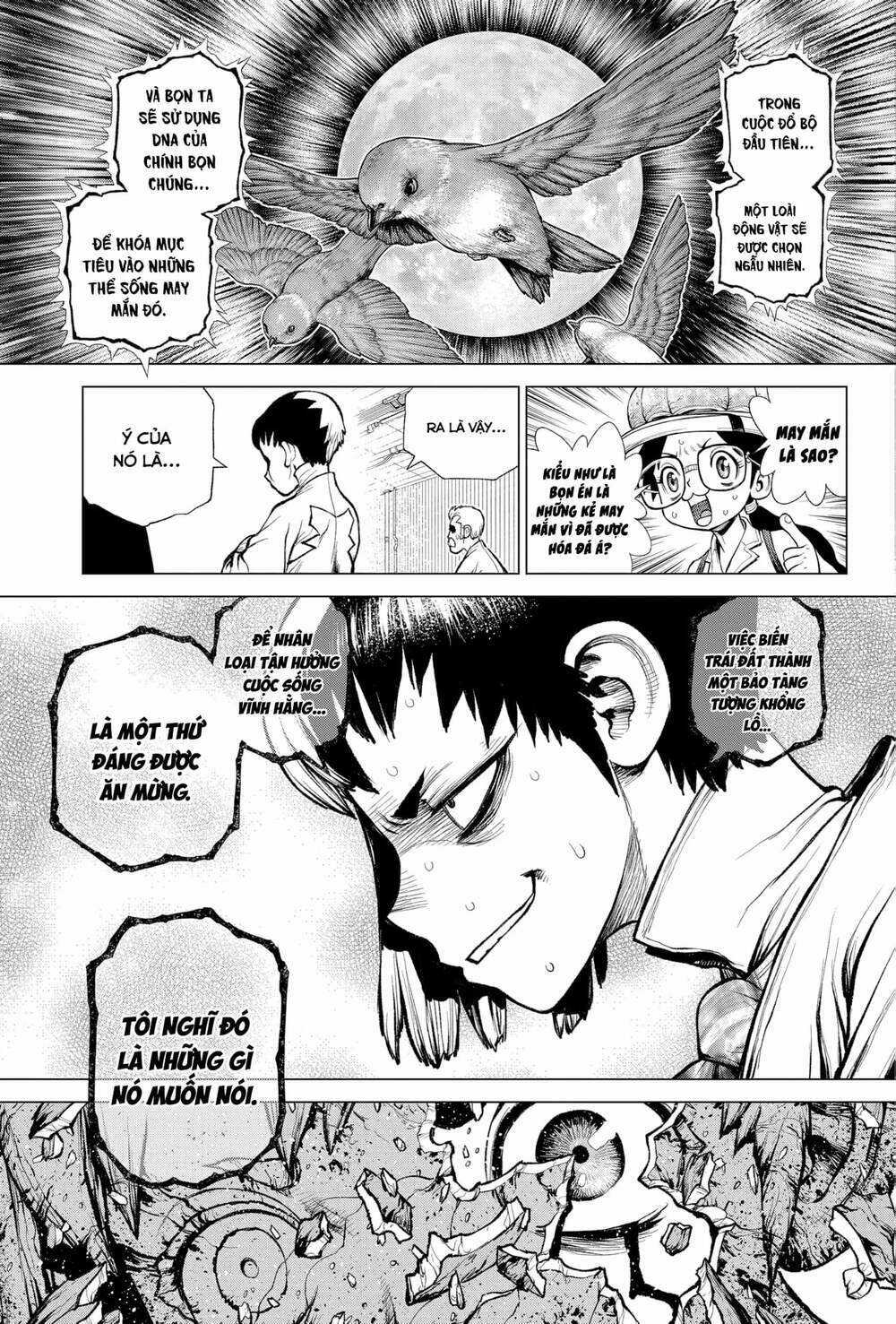 Dr.stone - Hồi Sinh Thế Giới Chapter 229 trang 4