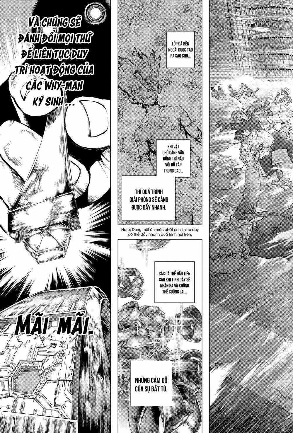 Dr.stone - Hồi Sinh Thế Giới Chapter 229 trang 8