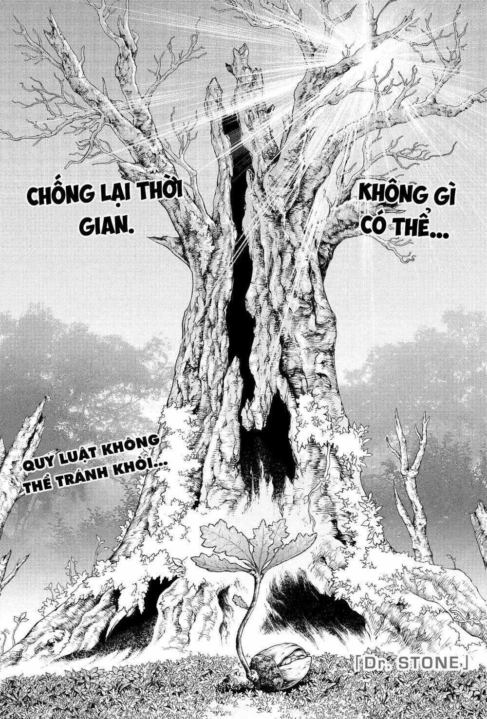 Dr.stone - Hồi Sinh Thế Giới Chapter 230 trang 2
