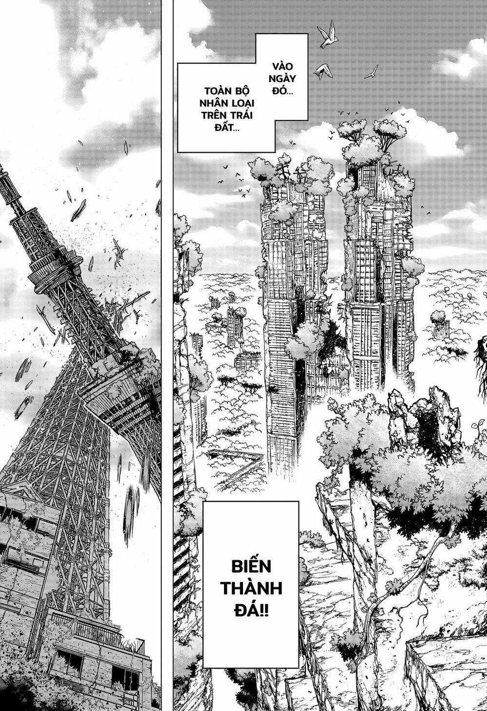 Dr.stone - Hồi Sinh Thế Giới Chapter 232.7 trang 11