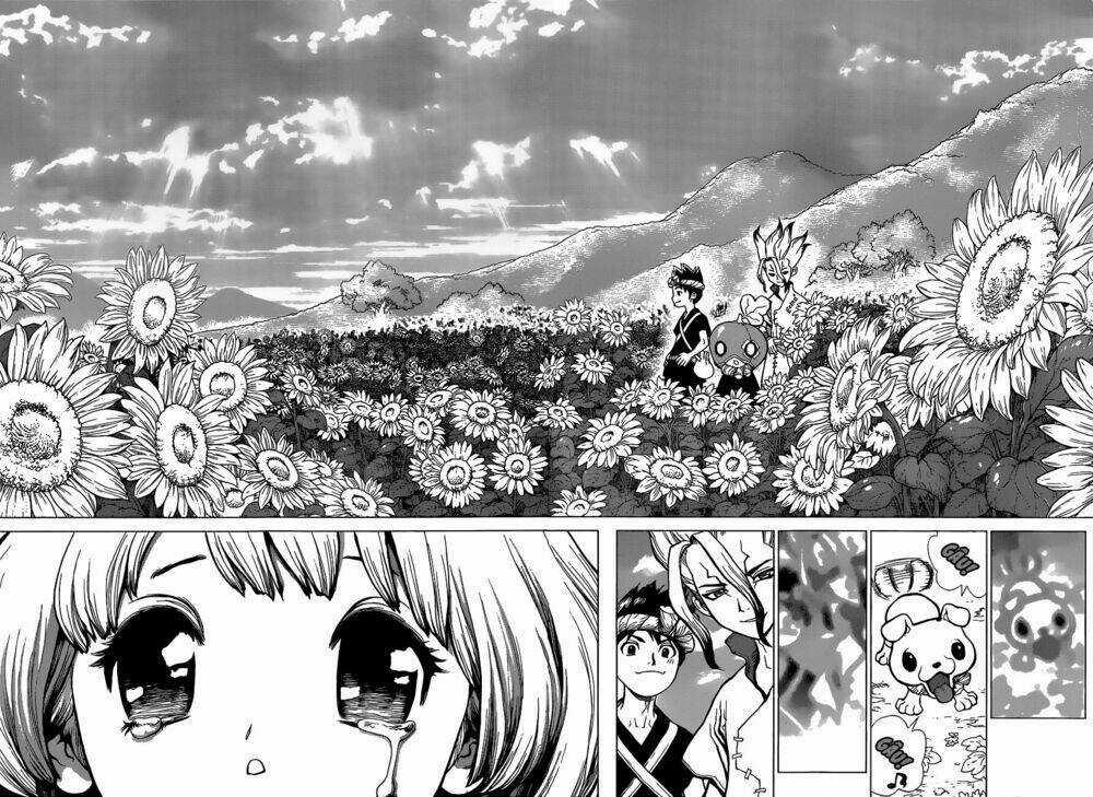 Dr.stone - Hồi Sinh Thế Giới Chapter 28 trang 14