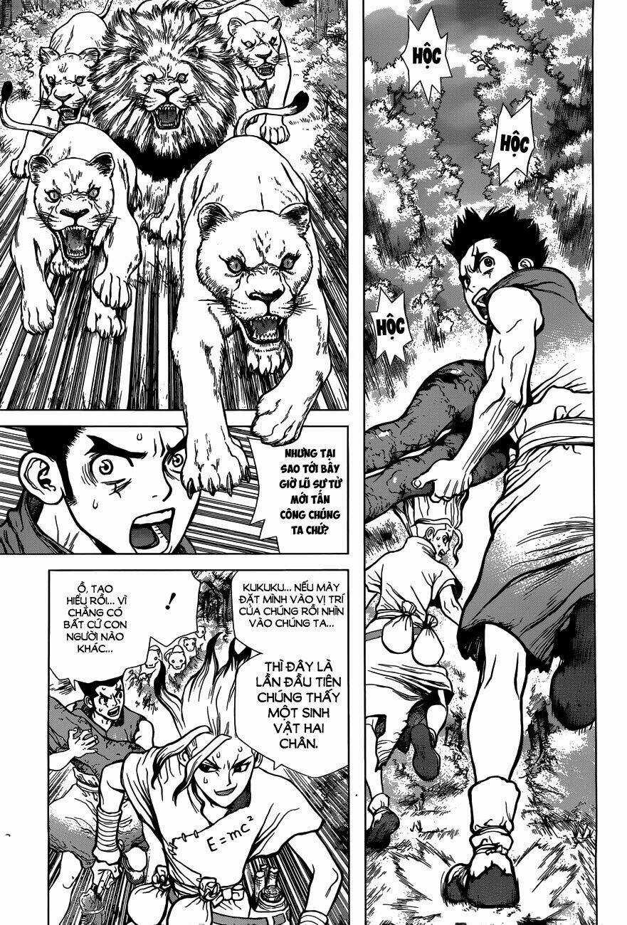 Dr.stone - Hồi Sinh Thế Giới Chapter 3 trang 10