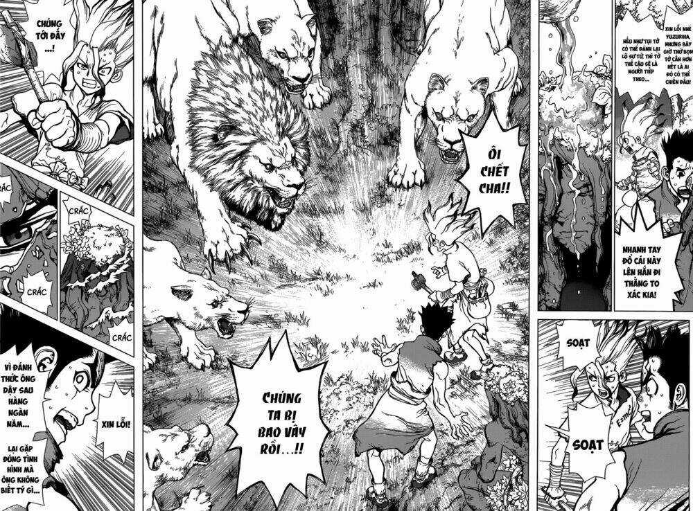 Dr.stone - Hồi Sinh Thế Giới Chapter 3 trang 15