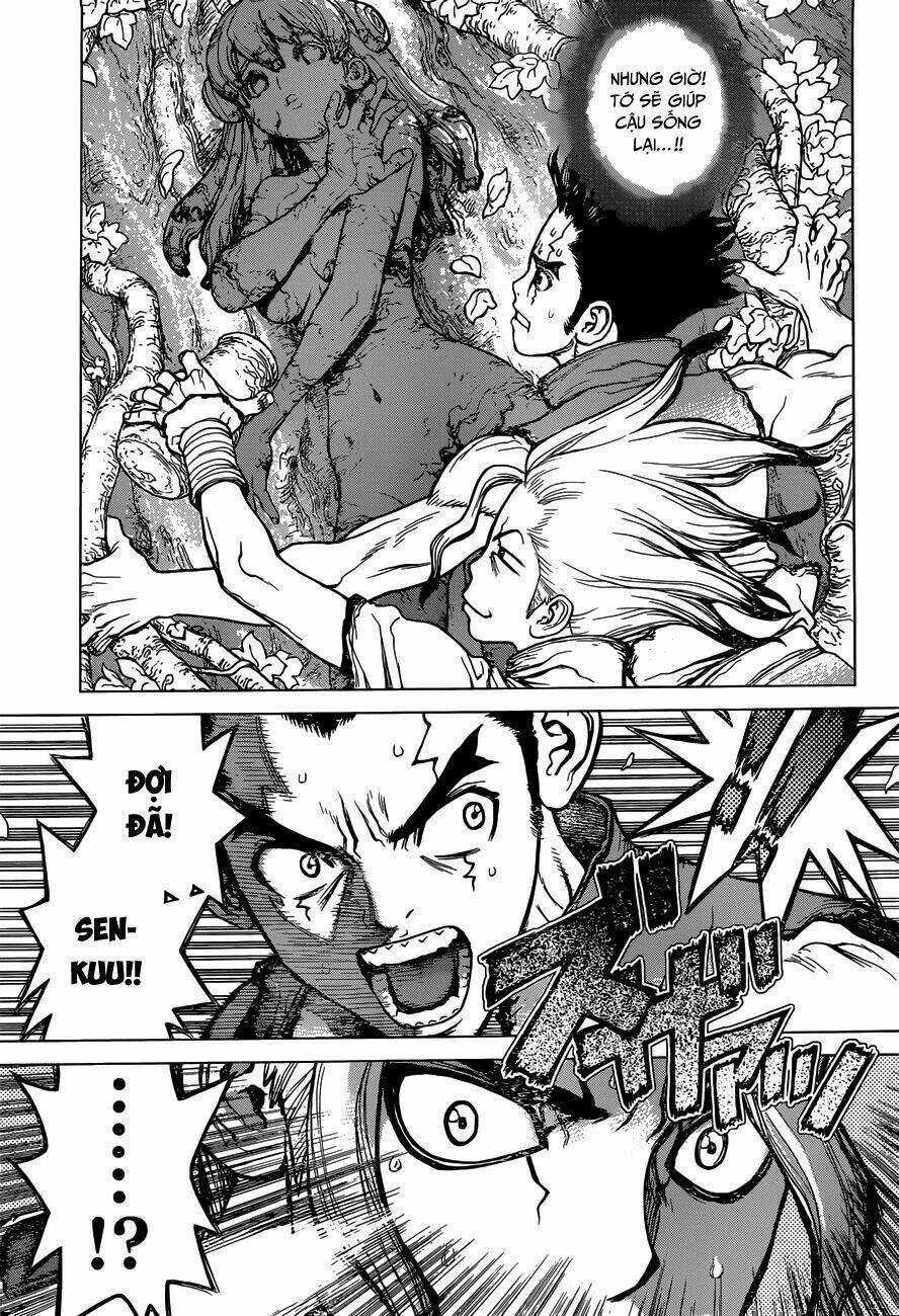 Dr.stone - Hồi Sinh Thế Giới Chapter 3 trang 4