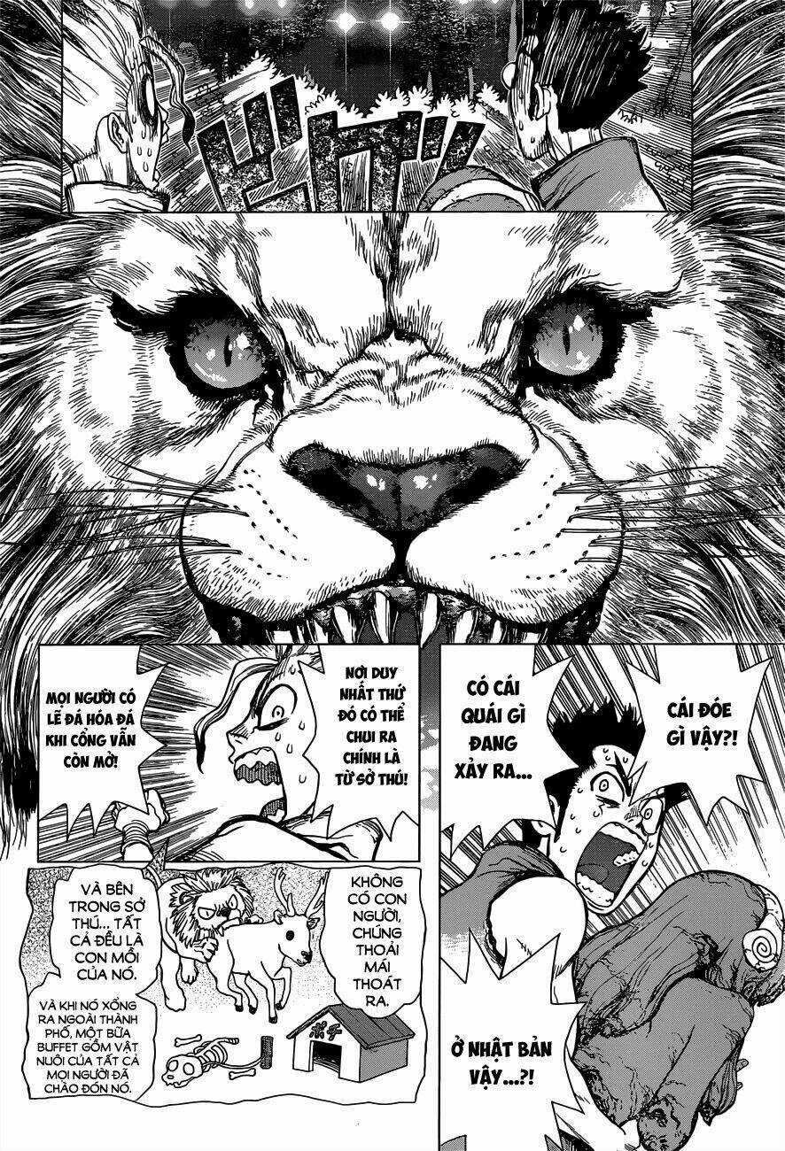 Dr.stone - Hồi Sinh Thế Giới Chapter 3 trang 7