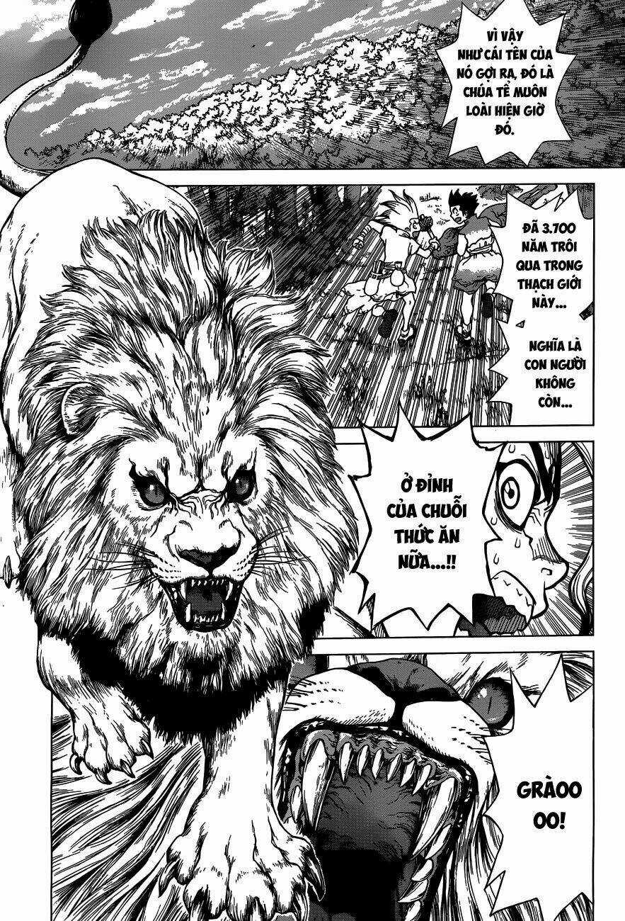 Dr.stone - Hồi Sinh Thế Giới Chapter 3 trang 8