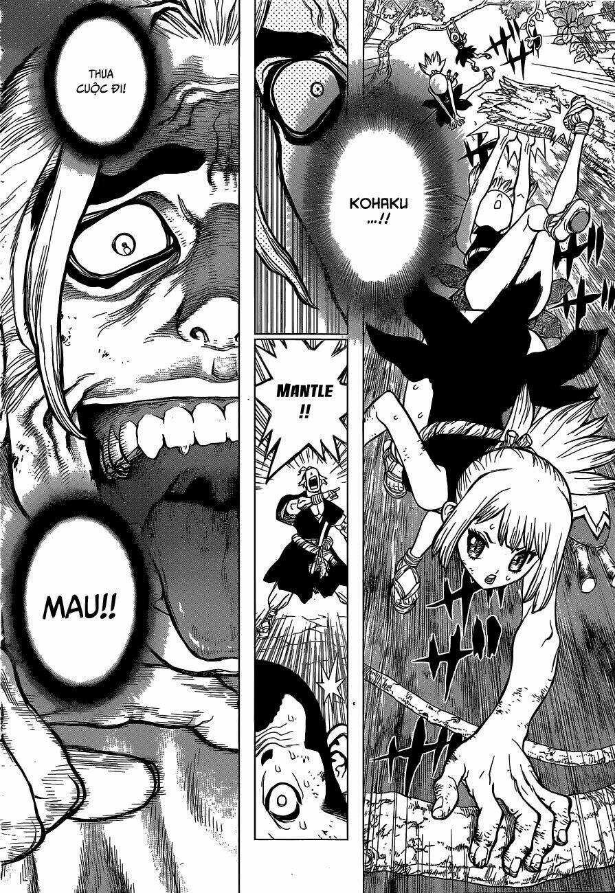 Dr.stone - Hồi Sinh Thế Giới Chapter 36 trang 10