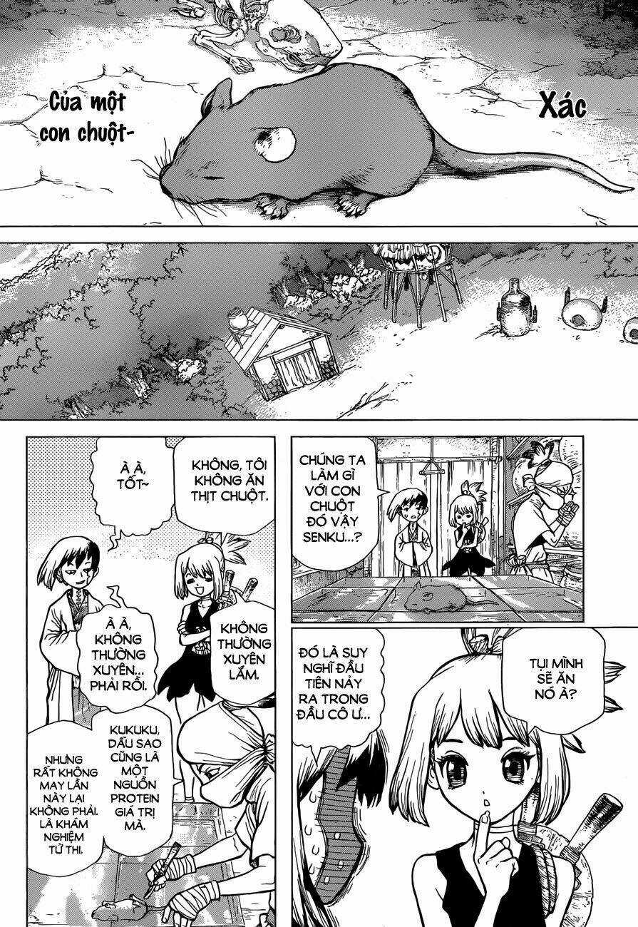 Dr.stone - Hồi Sinh Thế Giới Chapter 41 trang 4