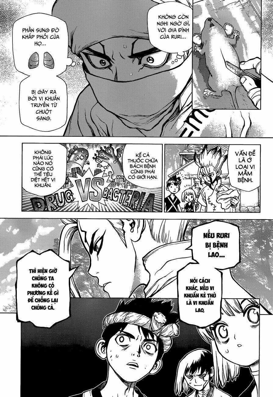 Dr.stone - Hồi Sinh Thế Giới Chapter 41 trang 5