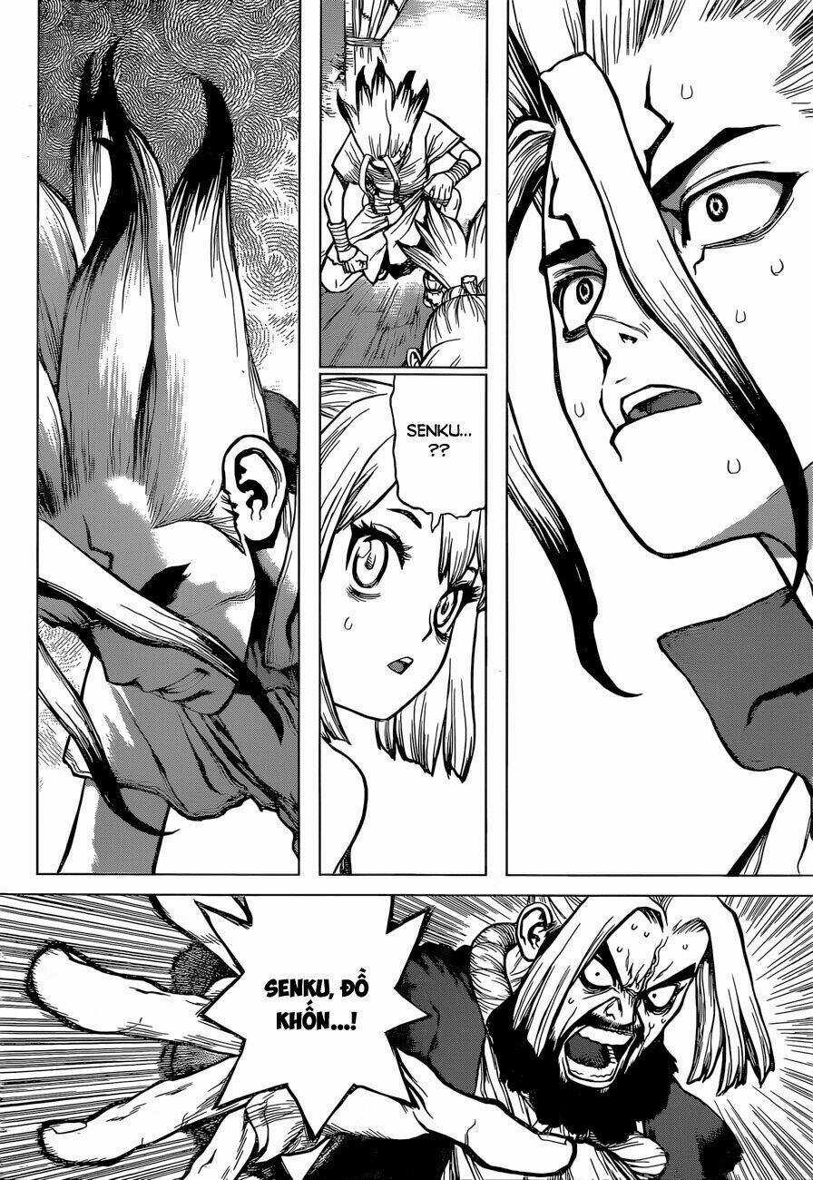 Dr.stone - Hồi Sinh Thế Giới Chapter 41 trang 8