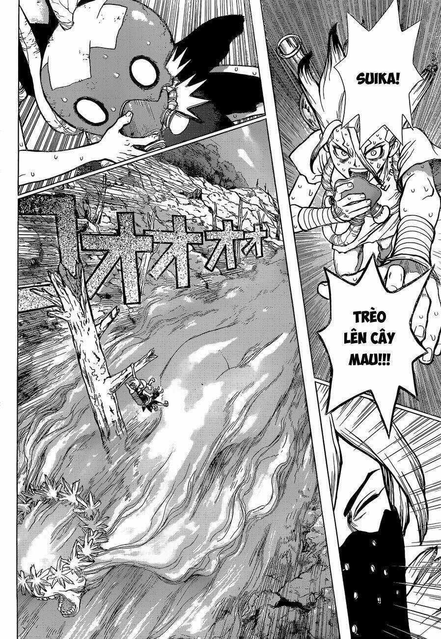 Dr.stone - Hồi Sinh Thế Giới Chapter 49 trang 11