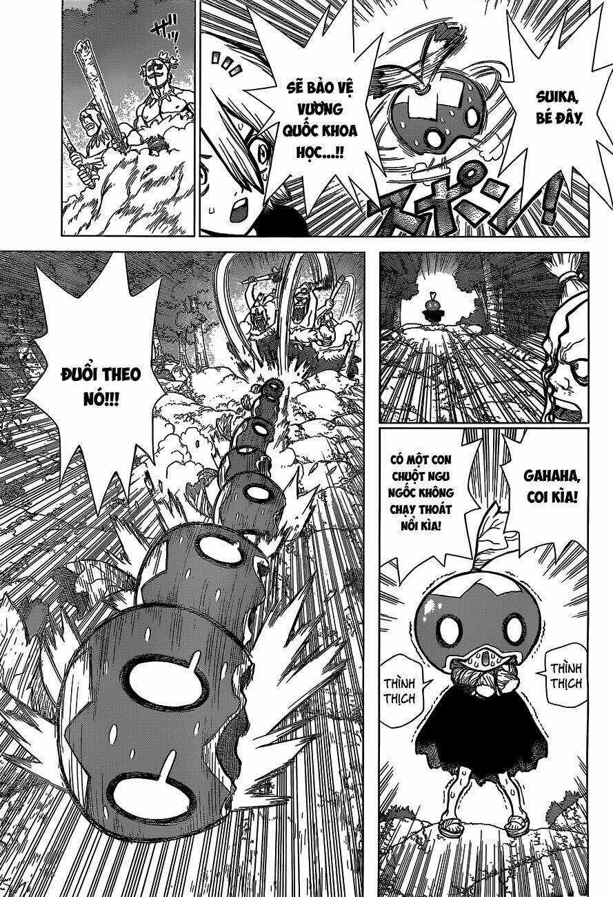 Dr.stone - Hồi Sinh Thế Giới Chapter 49 trang 6