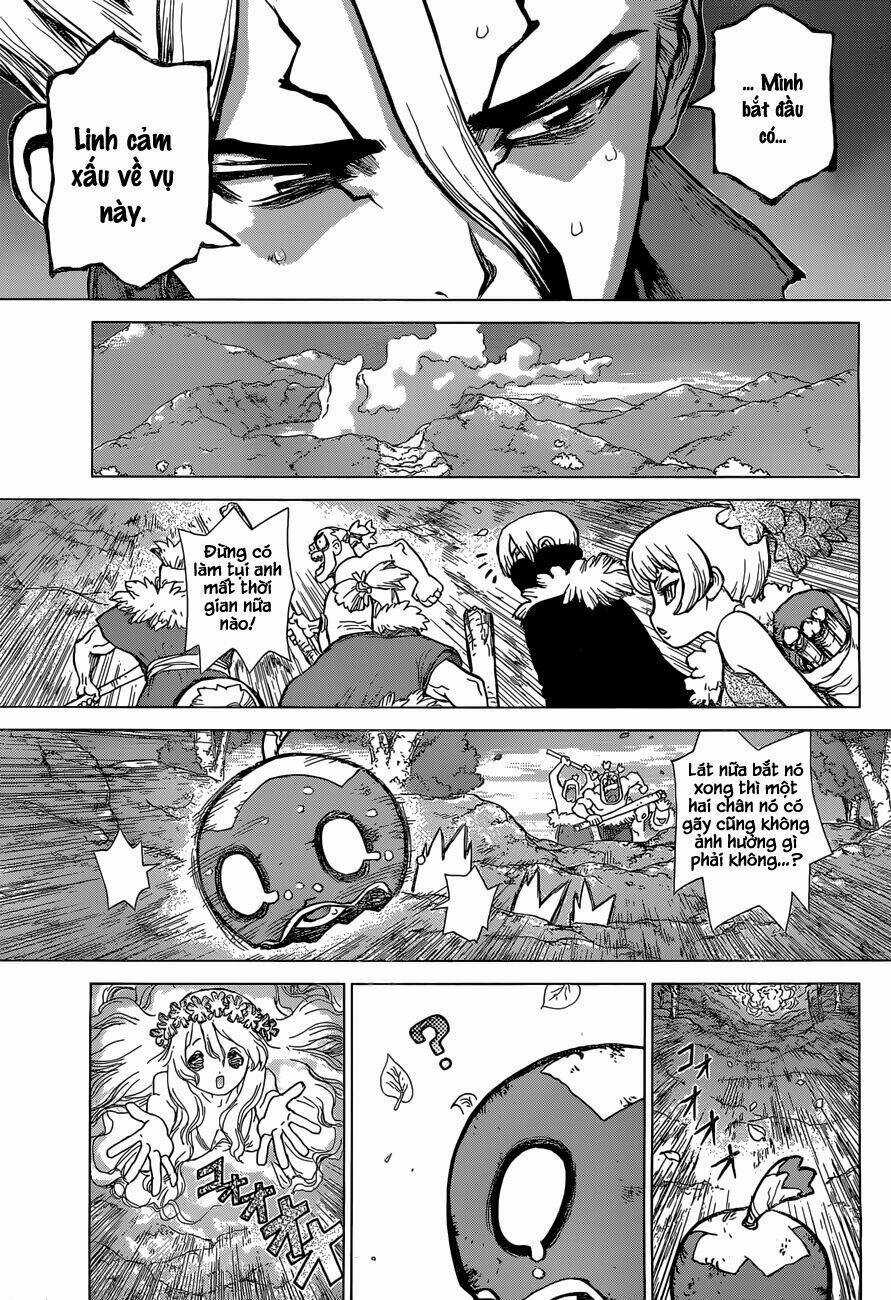 Dr.stone - Hồi Sinh Thế Giới Chapter 49 trang 8