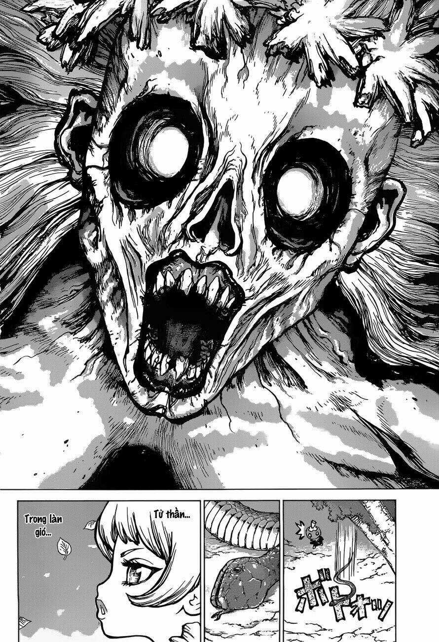 Dr.stone - Hồi Sinh Thế Giới Chapter 49 trang 9