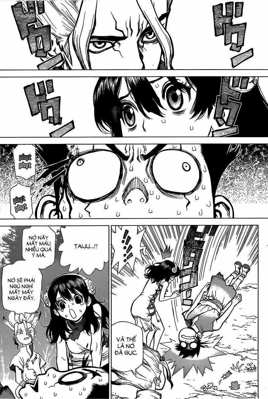Dr.stone - Hồi Sinh Thế Giới Chapter 6 trang 13