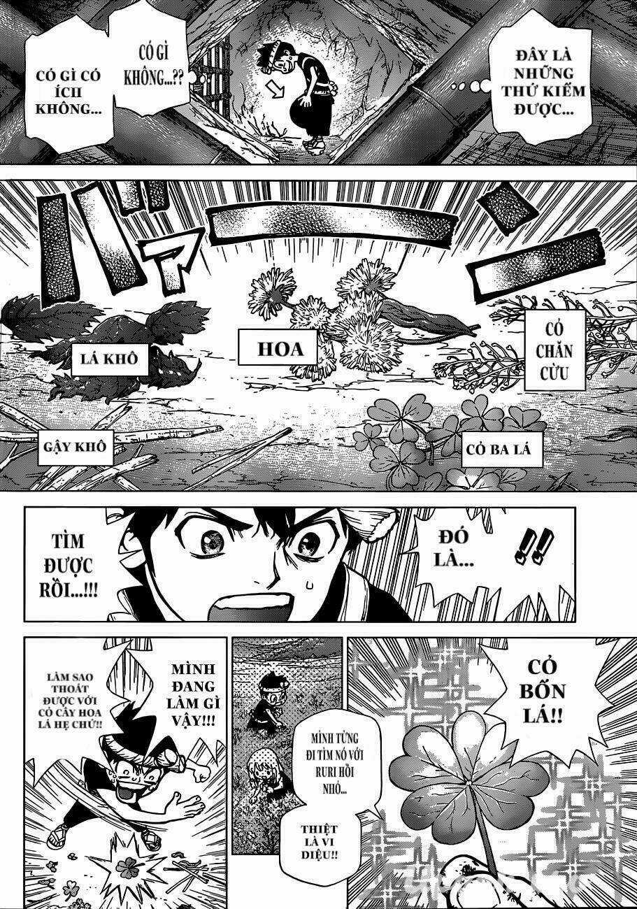Dr.stone - Hồi Sinh Thế Giới Chapter 71 trang 7