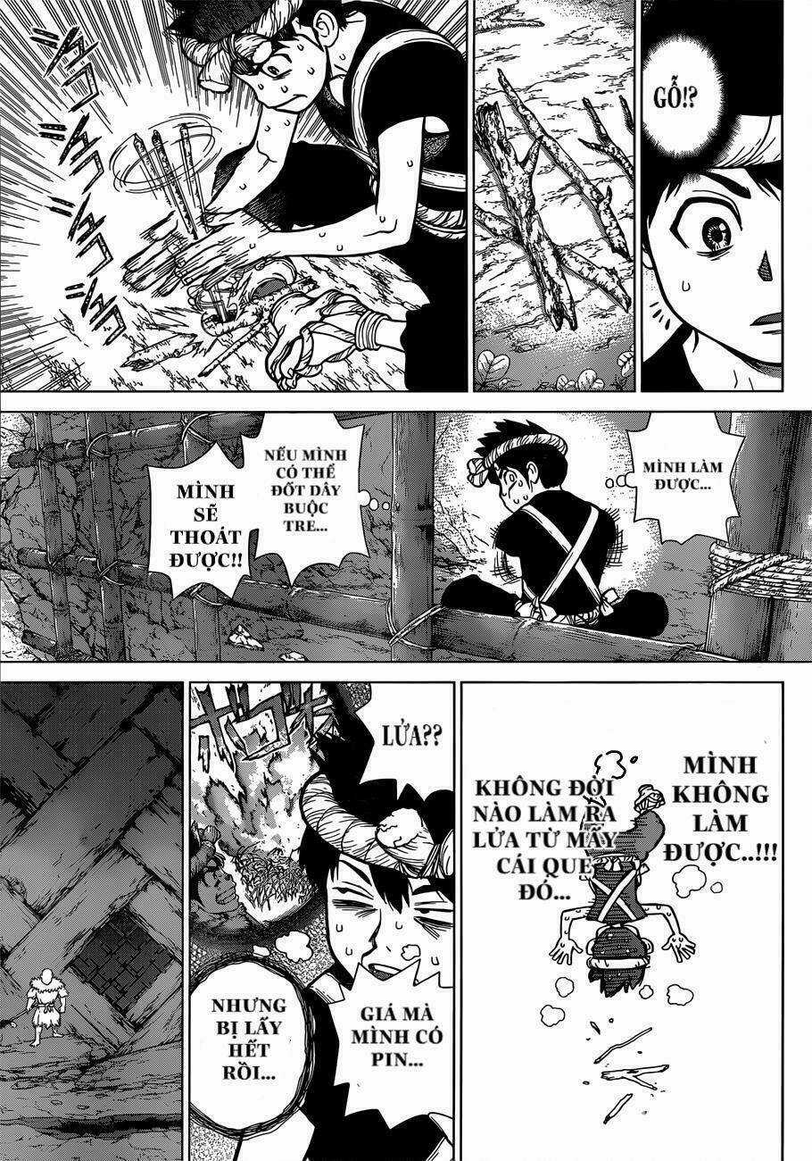 Dr.stone - Hồi Sinh Thế Giới Chapter 71 trang 8