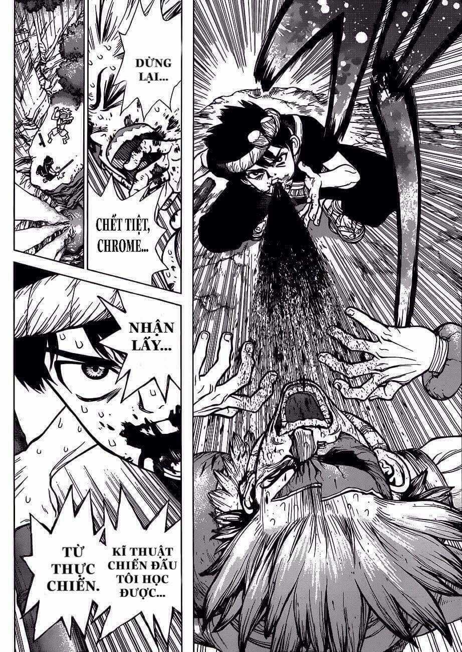 Dr.stone - Hồi Sinh Thế Giới Chapter 72 trang 12