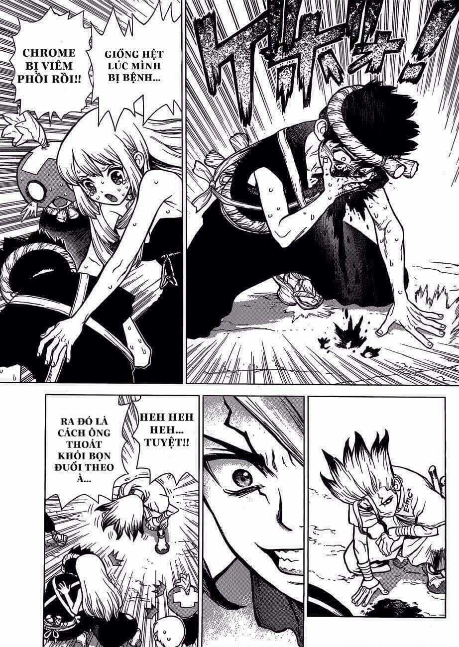 Dr.stone - Hồi Sinh Thế Giới Chapter 72 trang 15