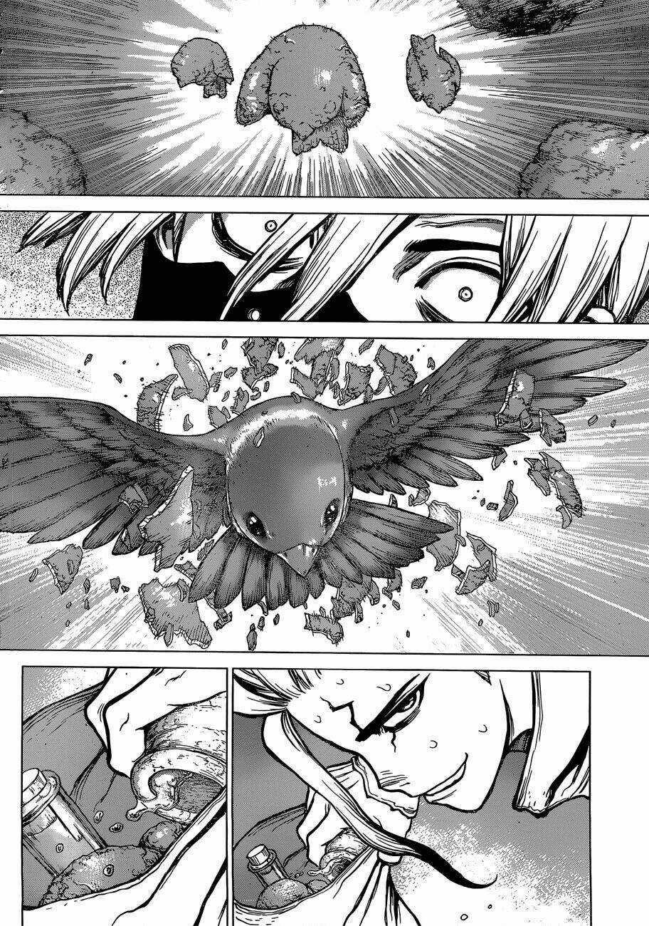 Dr.stone - Hồi Sinh Thế Giới Chapter 80 trang 14