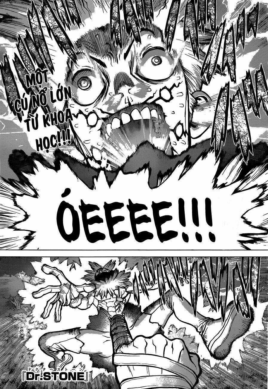 Dr.stone - Hồi Sinh Thế Giới Chapter 82 trang 1