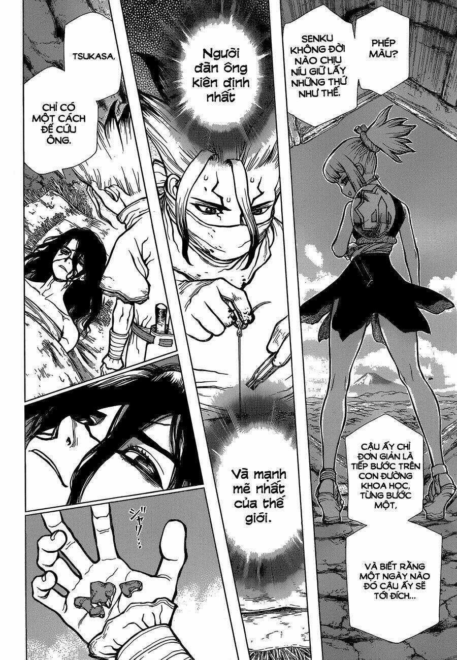 Dr.stone - Hồi Sinh Thế Giới Chapter 82 trang 17