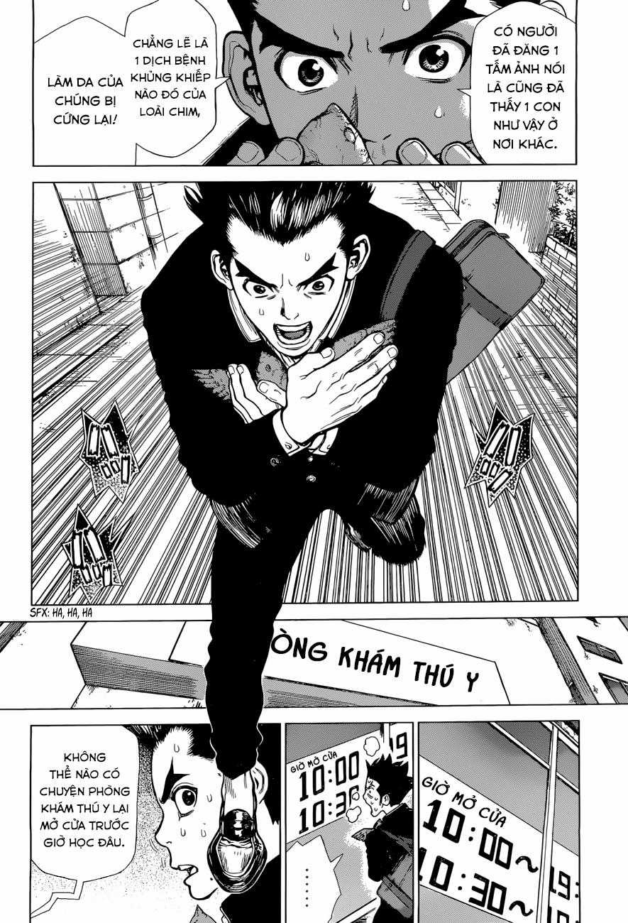 Dr.stone Chapter 1 trang 21