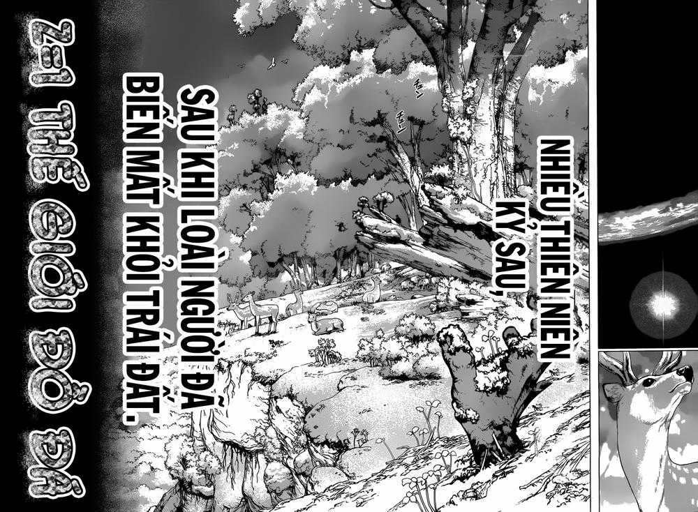 Dr.stone Chapter 1 trang 29