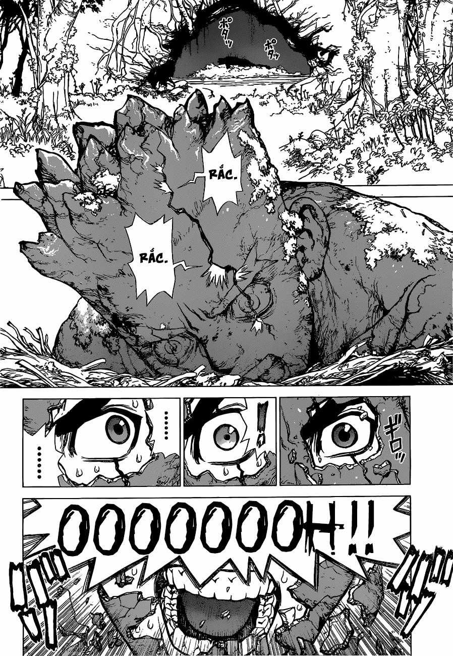 Dr.stone Chapter 1 trang 30
