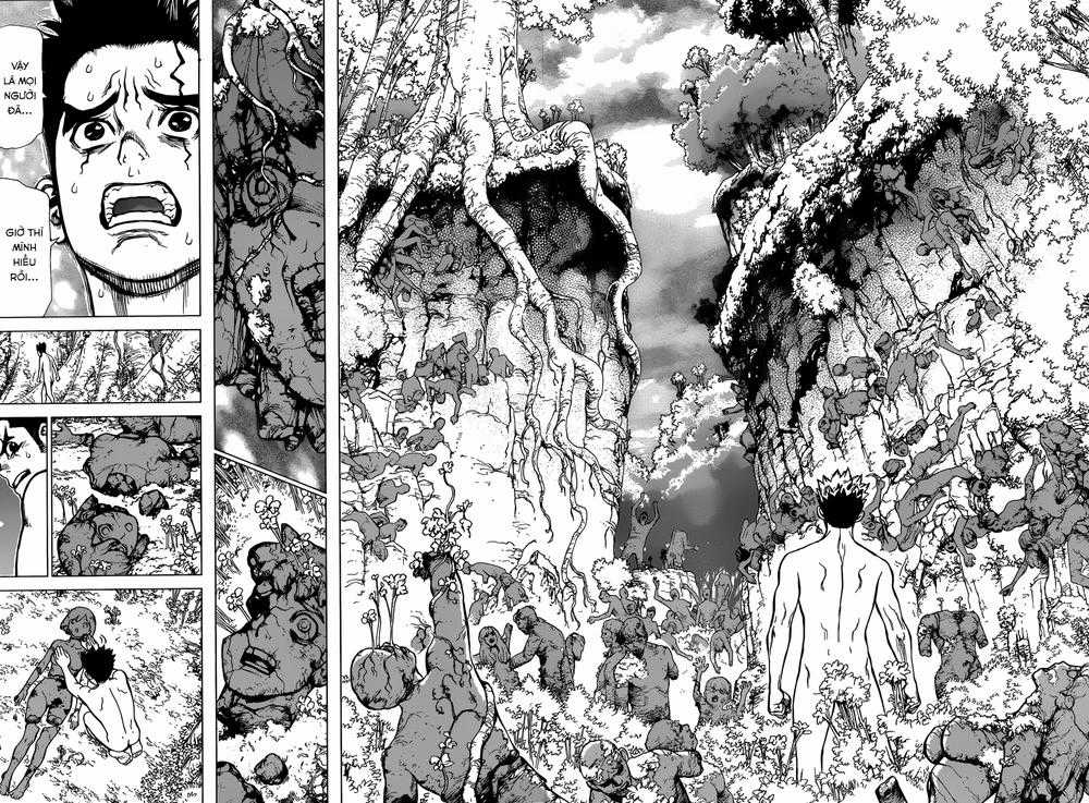 Dr.stone Chapter 1 trang 32