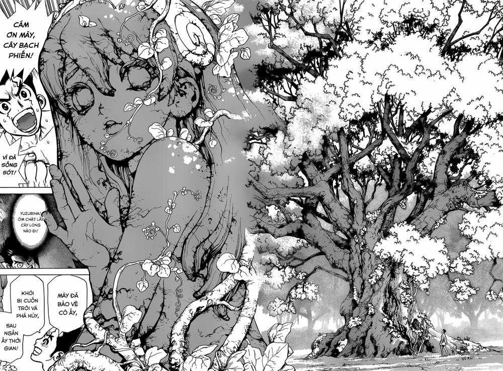 Dr.stone Chapter 1 trang 35