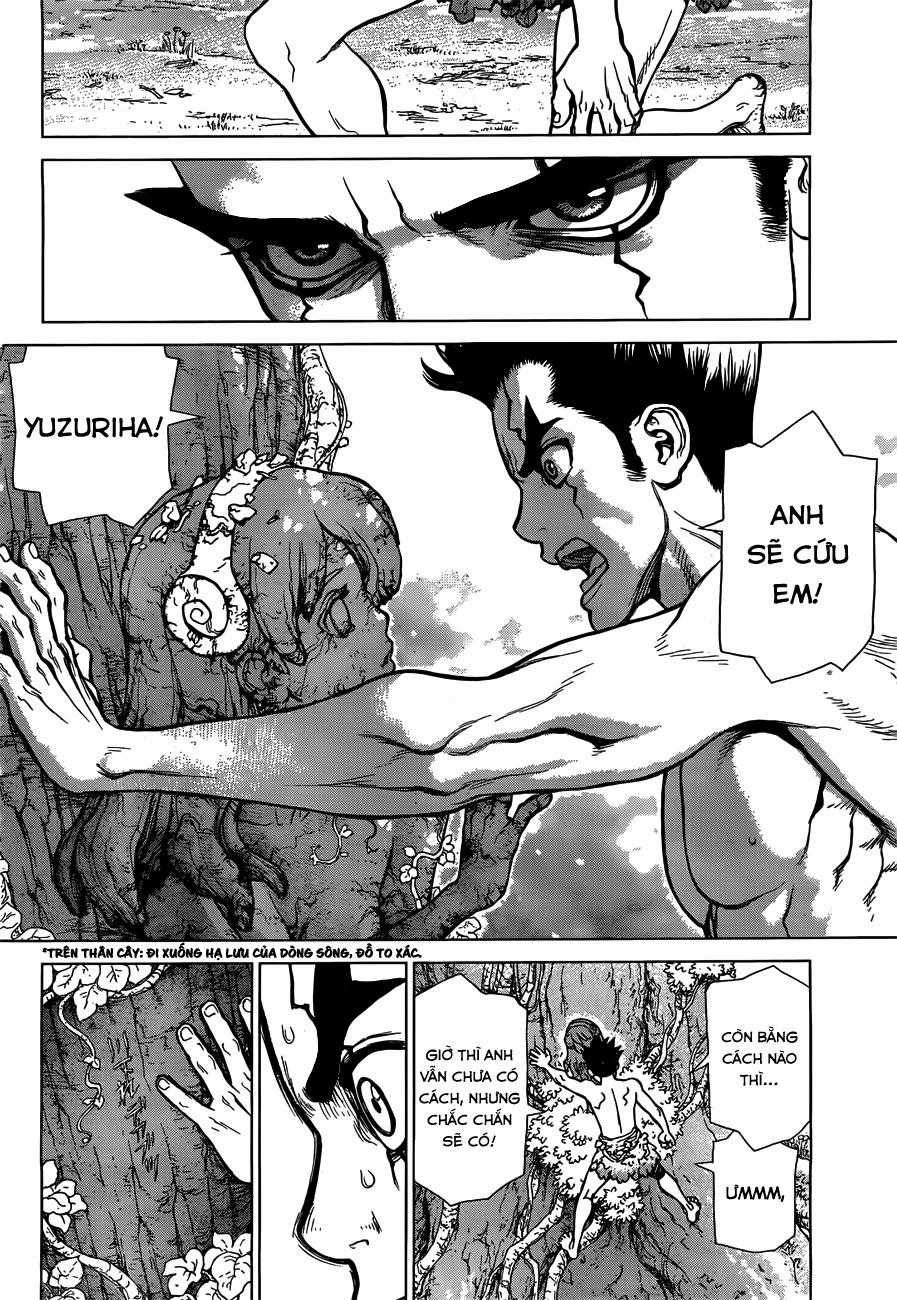 Dr.stone Chapter 1 trang 38