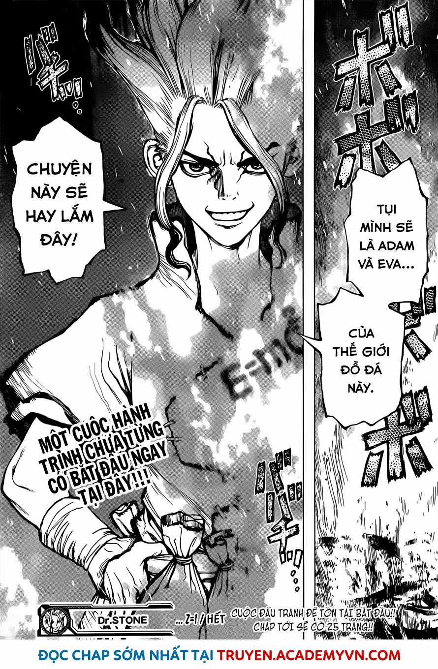 Dr.stone Chapter 1 trang 48
