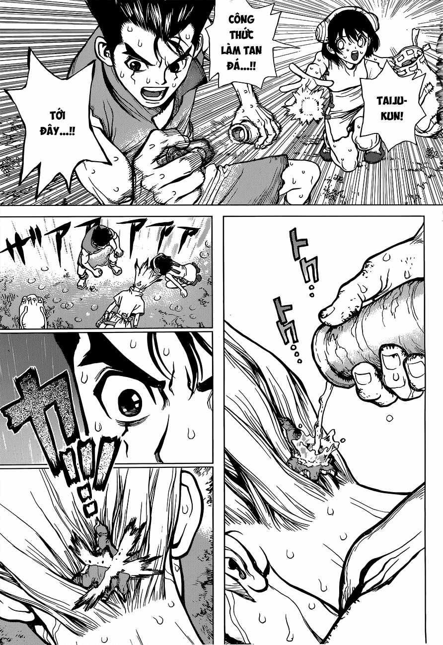 Dr.stone Chapter 12 trang 13