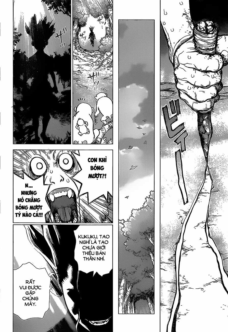 Dr.stone Chapter 13 trang 17
