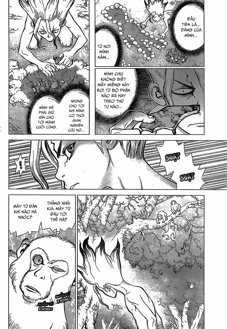 Dr.stone Chapter 13 trang 4