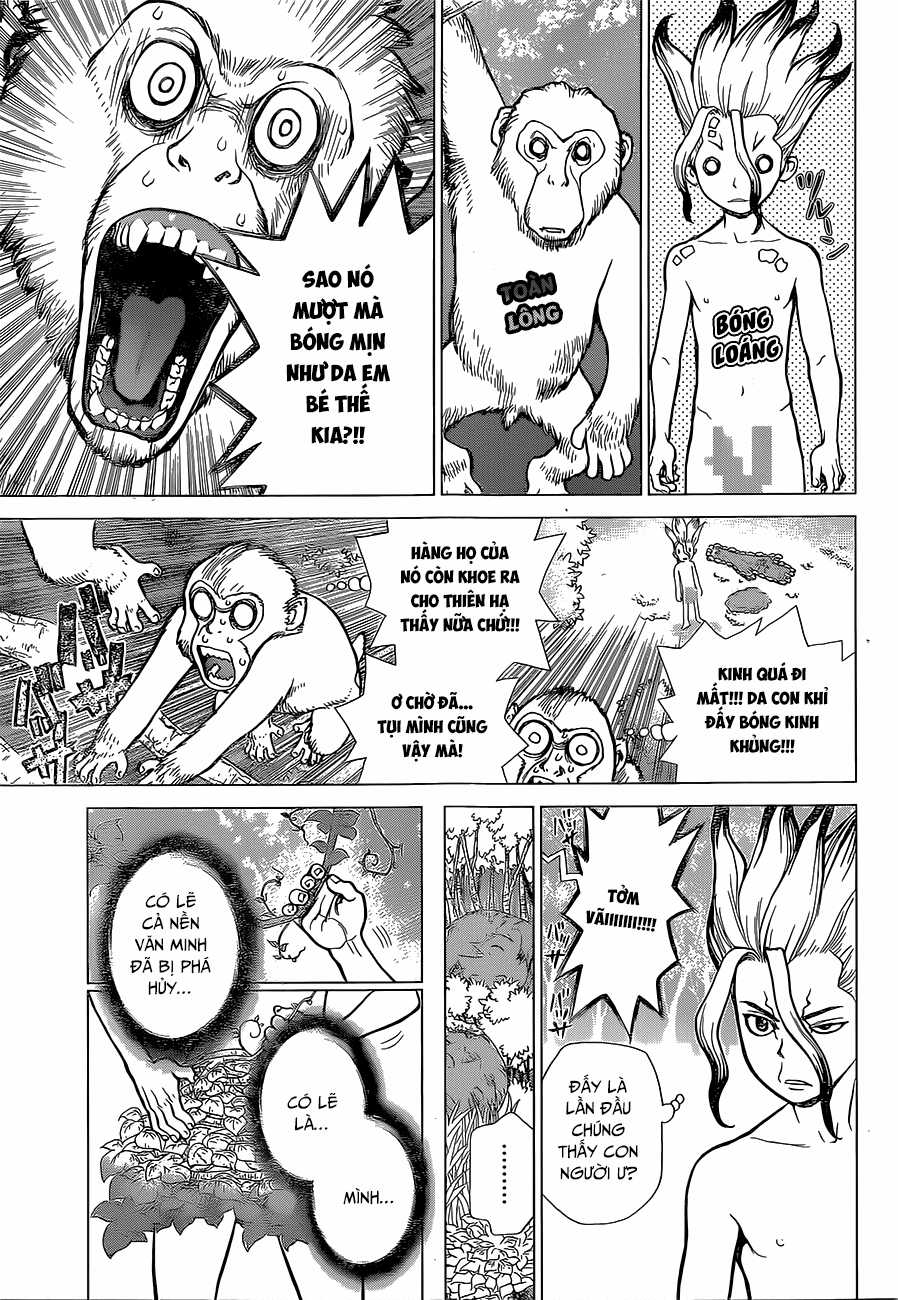 Dr.stone Chapter 13 trang 5