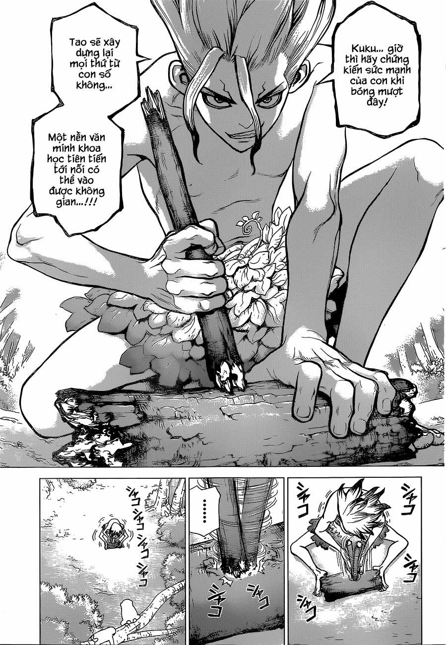 Dr.stone Chapter 13 trang 8