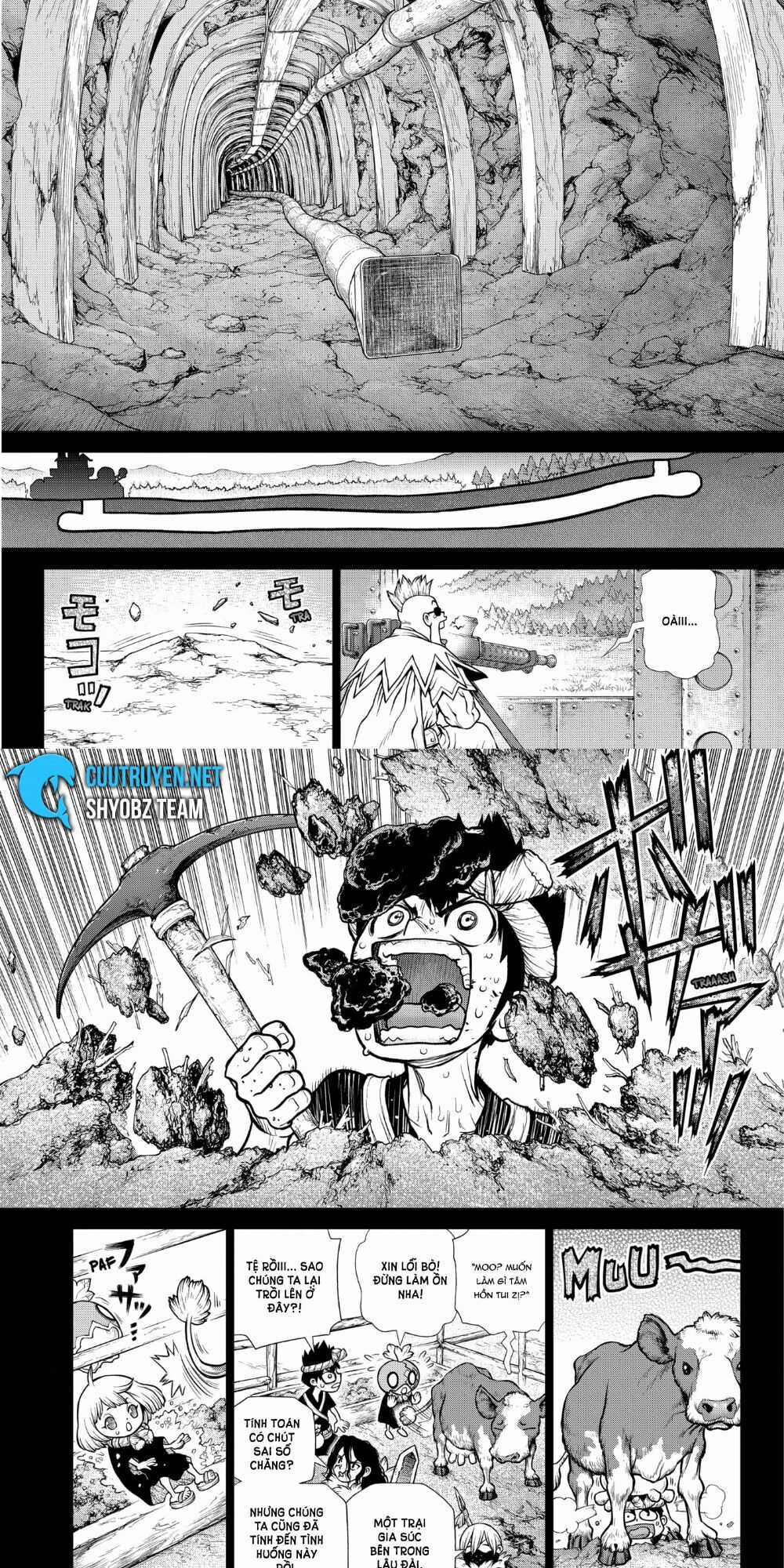 Dr.stone Chapter 167 trang 1