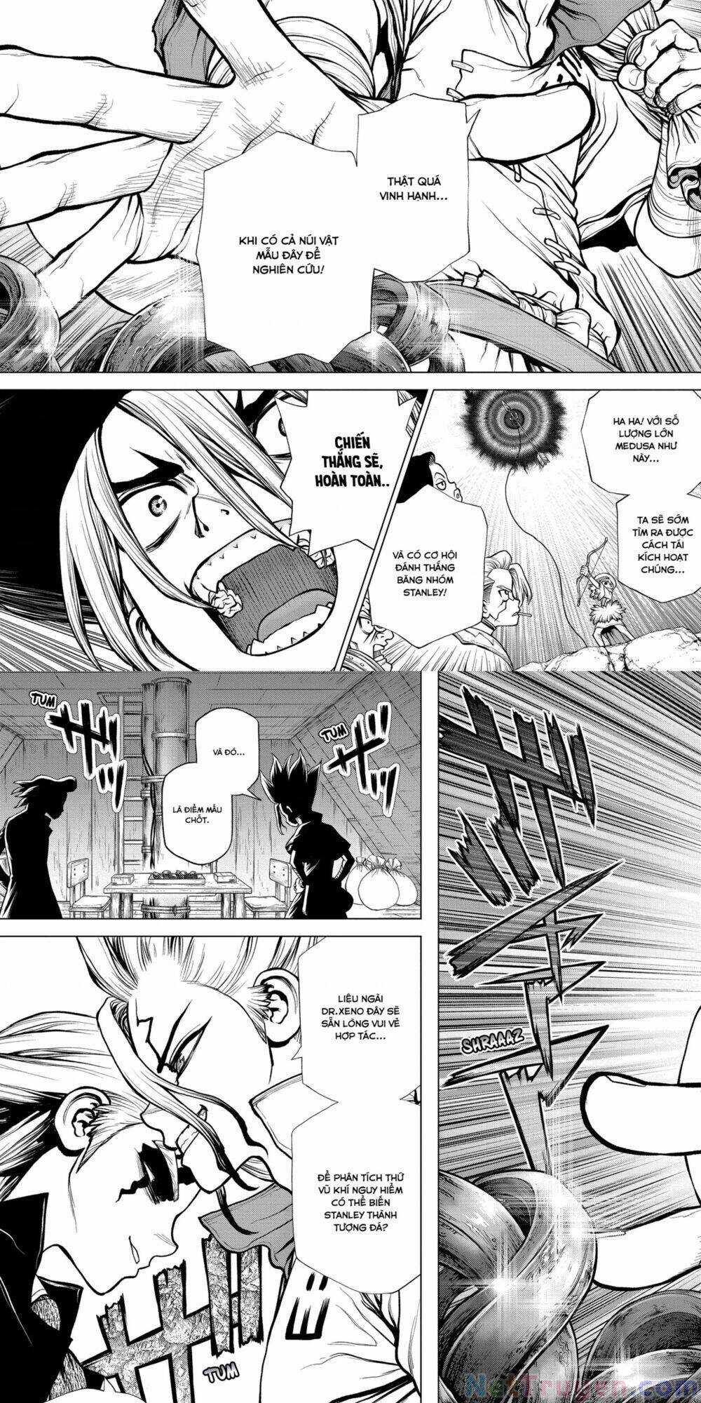 Dr.stone Chapter 182 trang 1