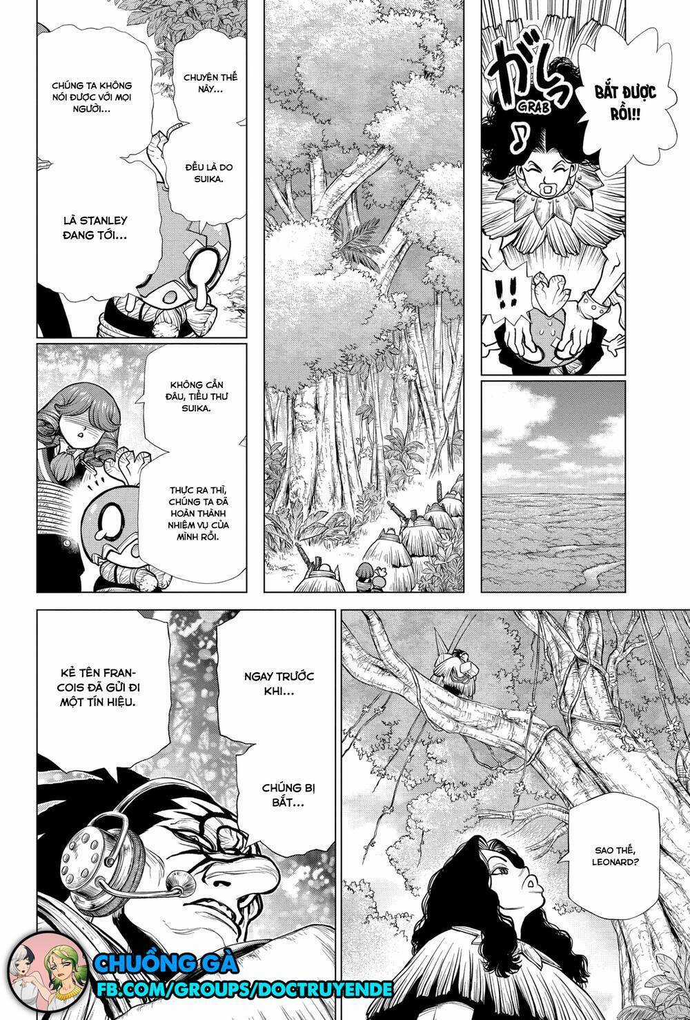 Dr.stone Chapter 186 trang 17