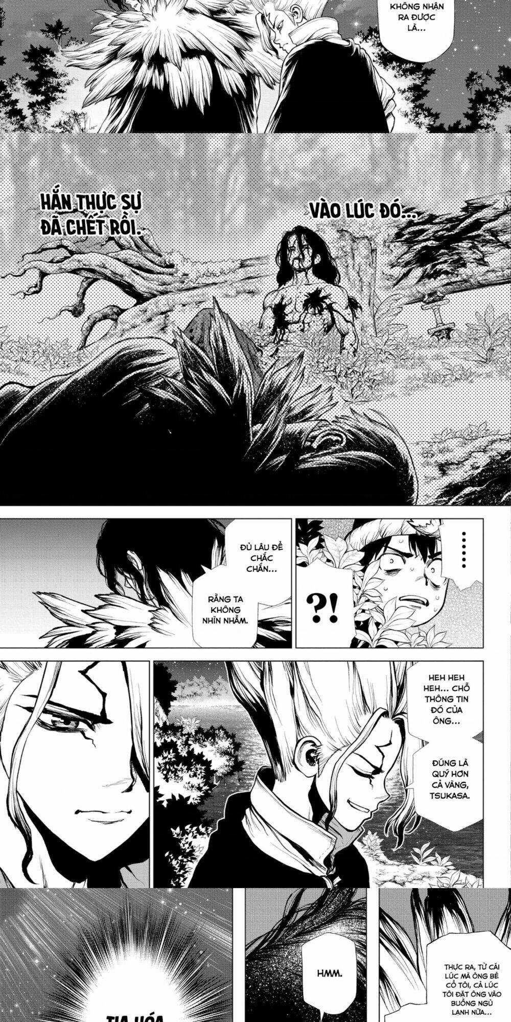 Dr.stone Chapter 197 trang 11