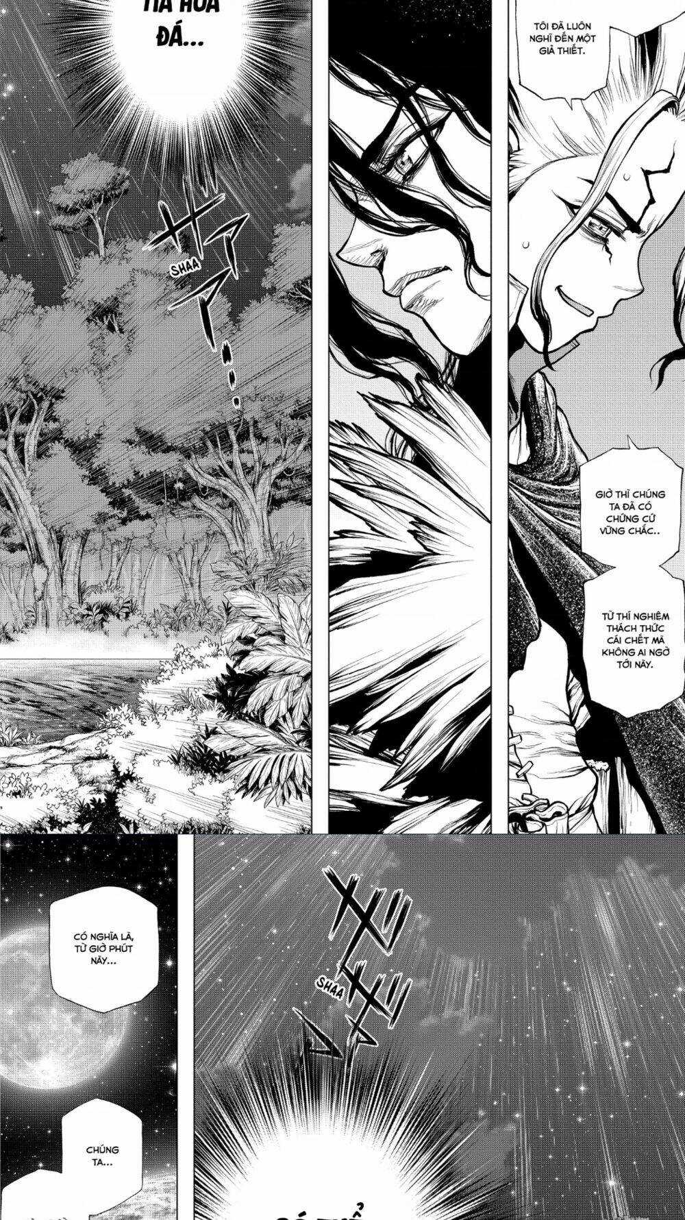 Dr.stone Chapter 197 trang 12