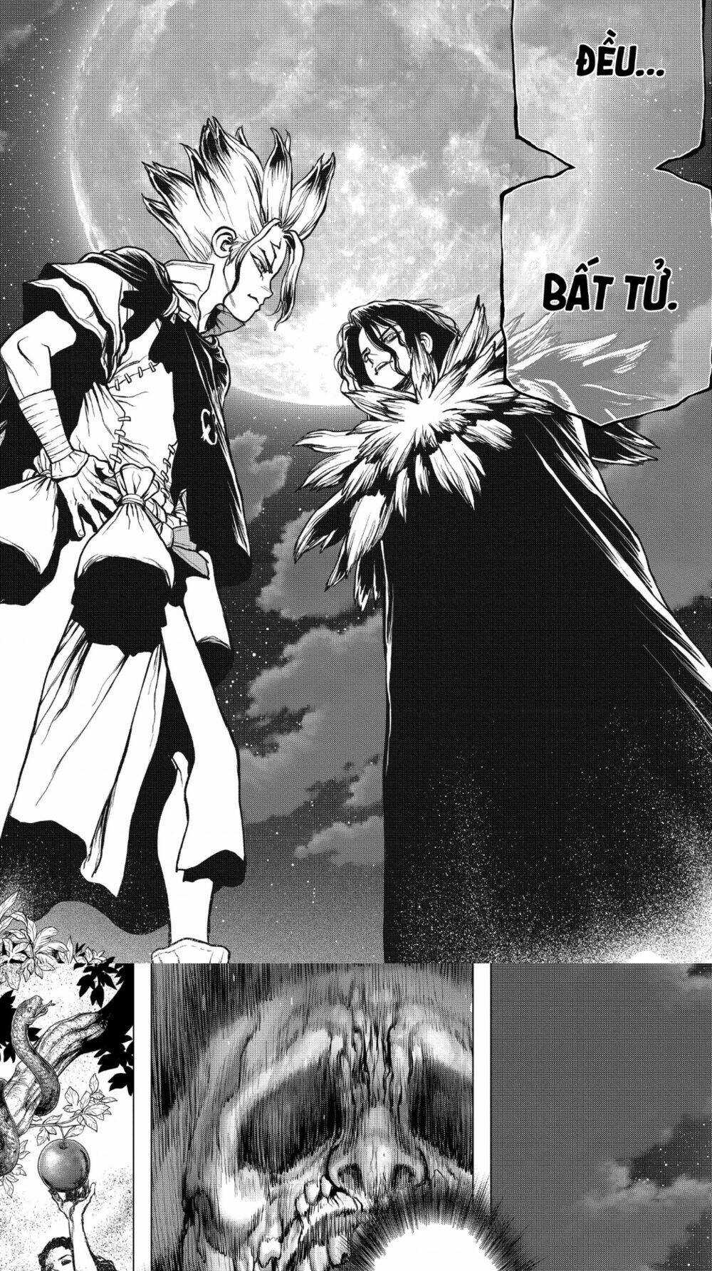 Dr.stone Chapter 197 trang 14