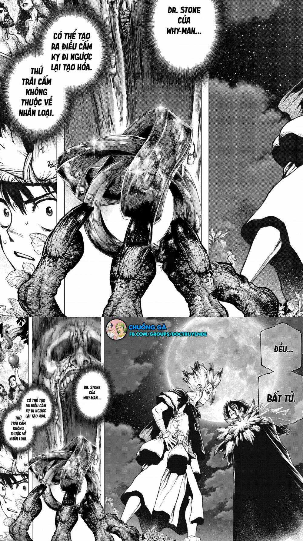 Dr.stone Chapter 197 trang 15