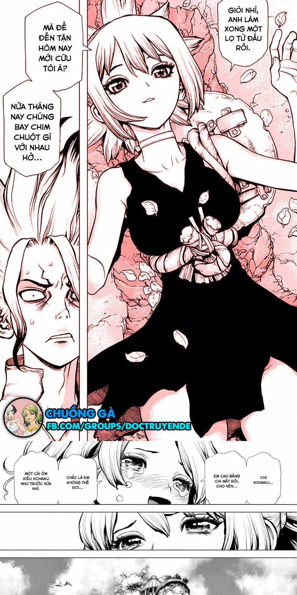 Dr.stone Chapter 197 trang 3