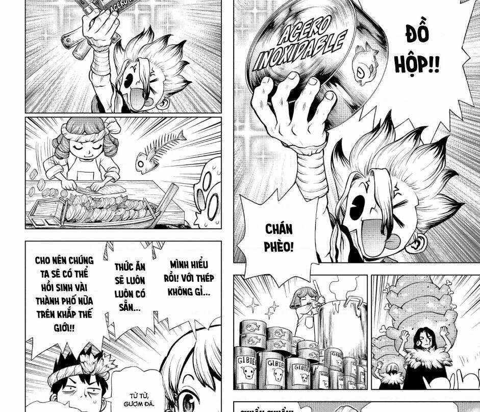 Dr.stone Chapter 199 trang 17